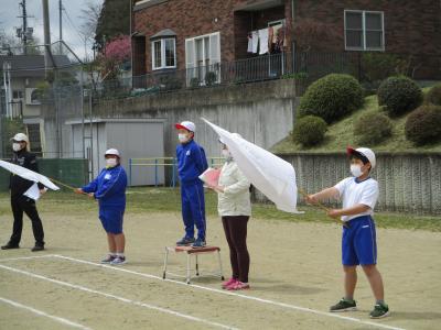 白組勝つぞ