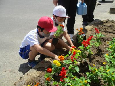 花の苗植え
