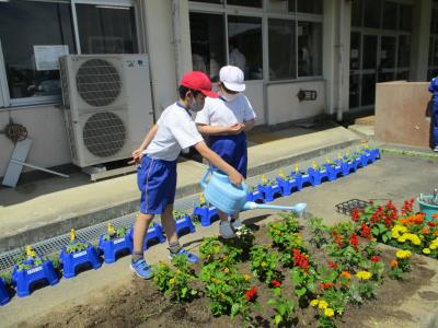花の水くれ